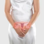 子宮のイラストが女性の体にある