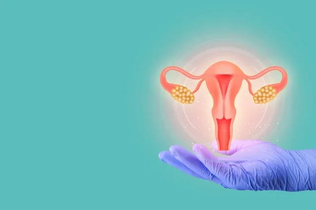 女性の生殖に関する健康の概念。 子宮内膜症、PCOS、婦人科がん、子宮頸がん、子宮筋腫、子宮摘出術。 現代のデジタル医療、制御とケア。 隔離された子宮