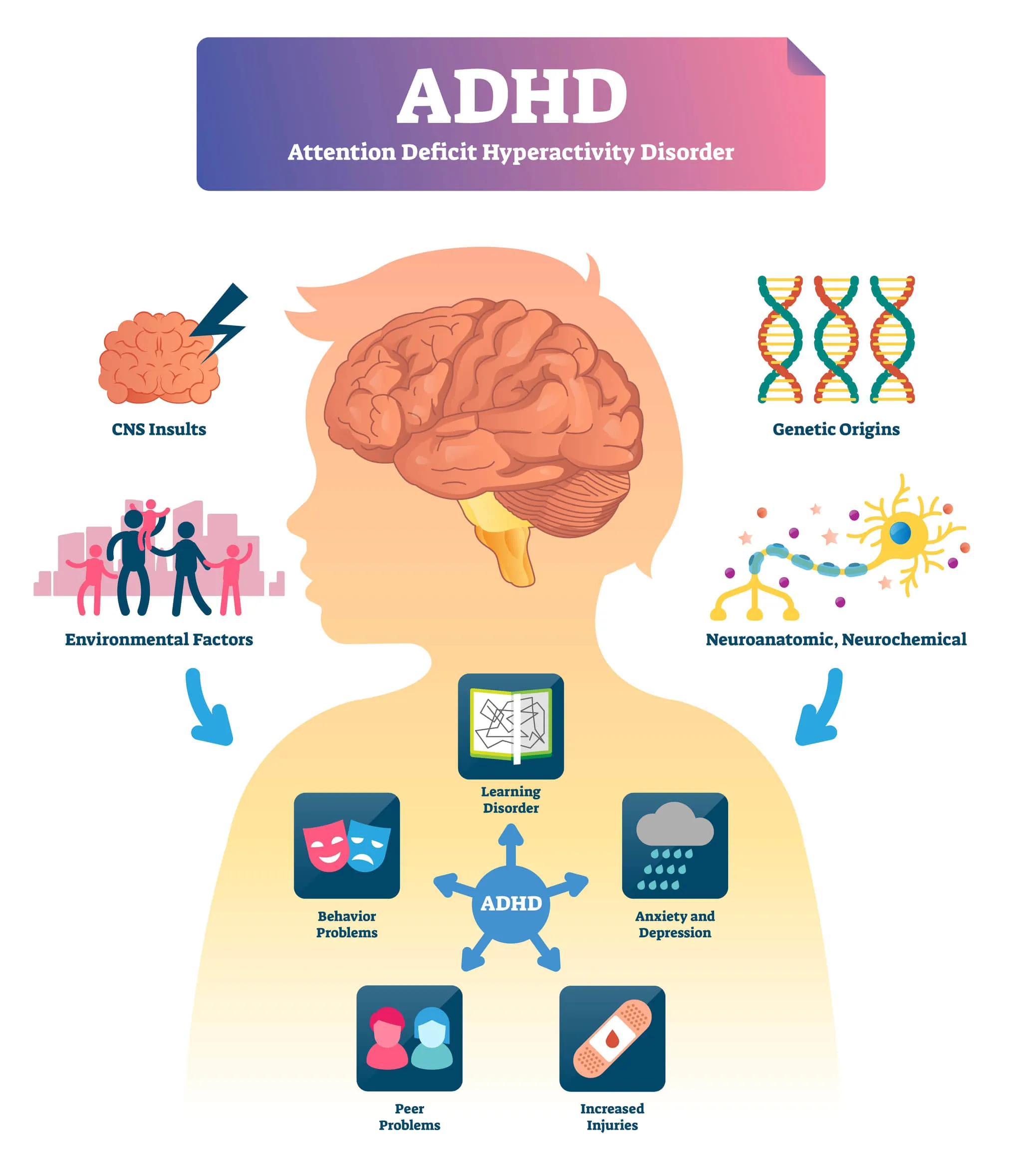ADHDと遺伝のイメージイラスト