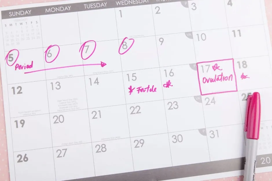 女性がカレンダーに妊活の予定を書いた様子