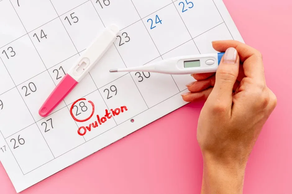 カレンダーに妊娠検査薬の使用予定日を書いてある女性