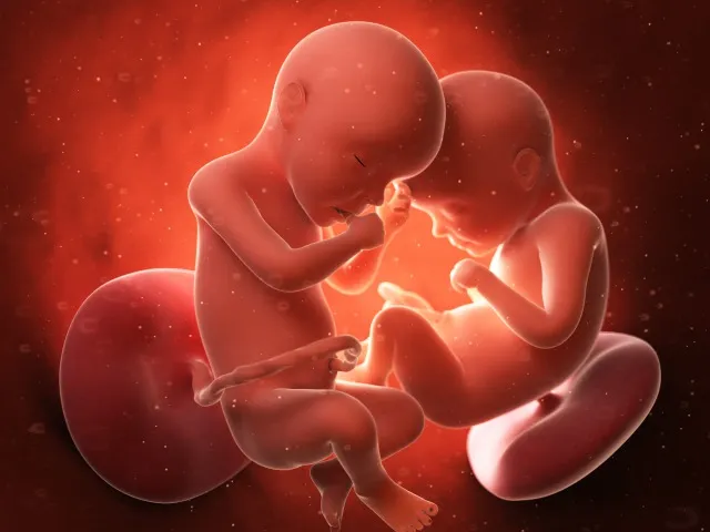 バニシングツインとは｜生き残り胎児に障害は？母体への影響は？