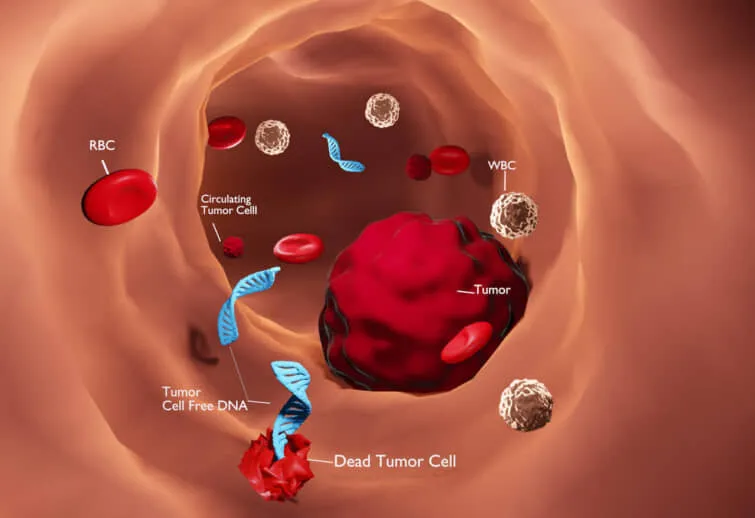 循環腫瘍DNAのイメージ画像