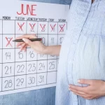 明るい壁の上で、カレンダーと出産日数を数える妊婦