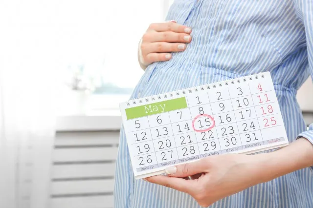 家のお腹の近くにカレンダーを持つ妊婦