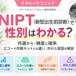 NIPT（新型出生前診断）で性別がわかる時期や精度、エコー・市販キットとの違い、結果が外れる原因を解説するアイキャッチ画像