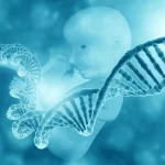出生前診断の遺伝カウンセリングのイメージ画像