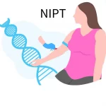 NIPTのイメージ