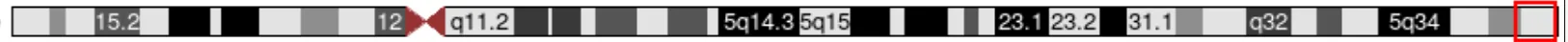 5q35.3の第5番染色体における位置