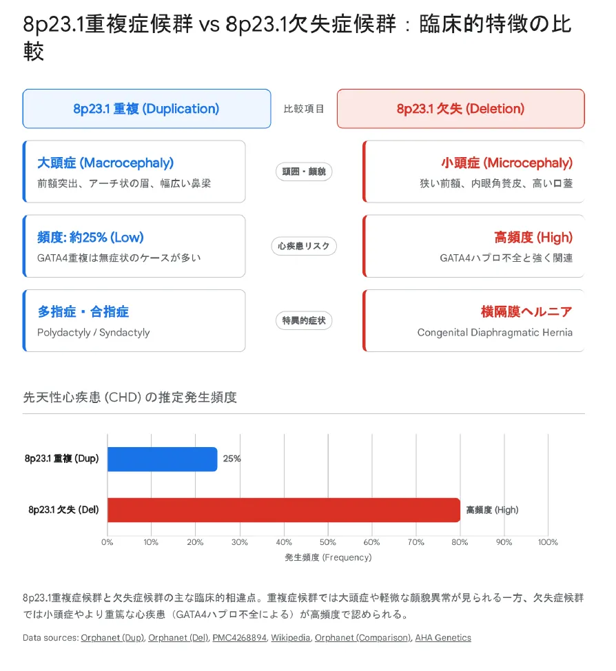 8p23.1重複対8p23.1欠失症候群の臨床的特徴の比較