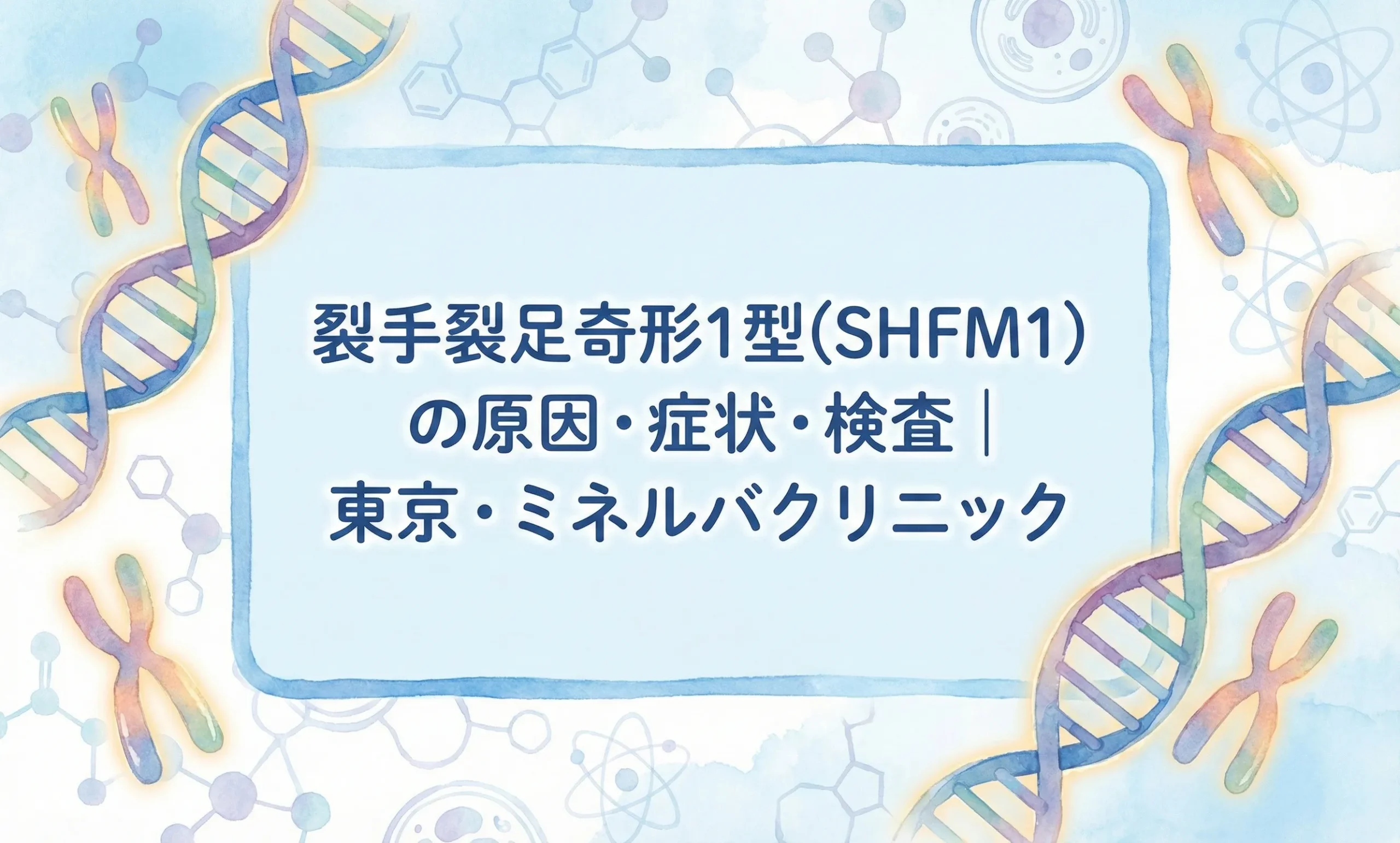 裂手裂足奇形1型(SHFM1)の原因・症状・検査|東京・ミネルバクリニック