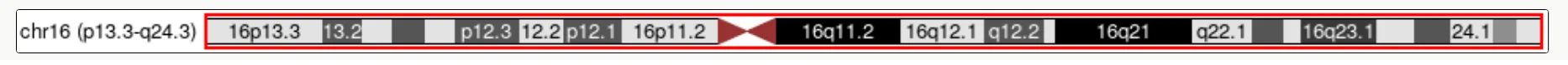 16番染色体の構造
