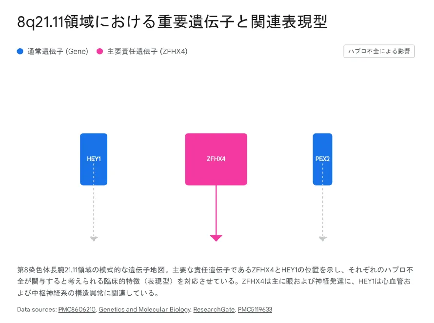 8q21.11領域における重要遺伝子と関連表現型