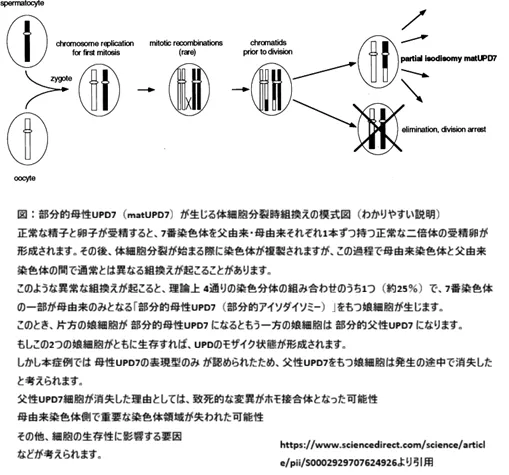体細胞分裂時の異常組換えにより部分的母性UPD7が生じる過程の模式図