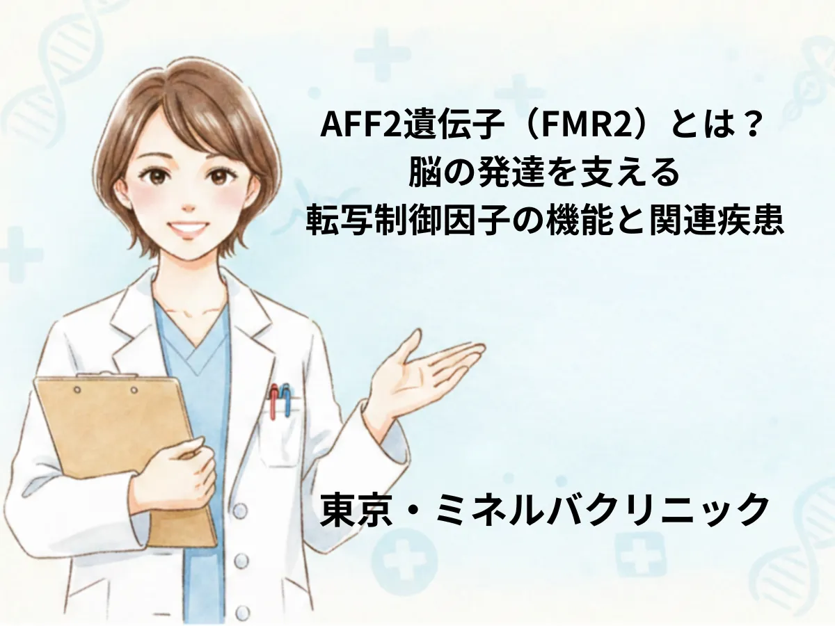 AFF2遺伝子｜機能・変異・遺伝形式の解説