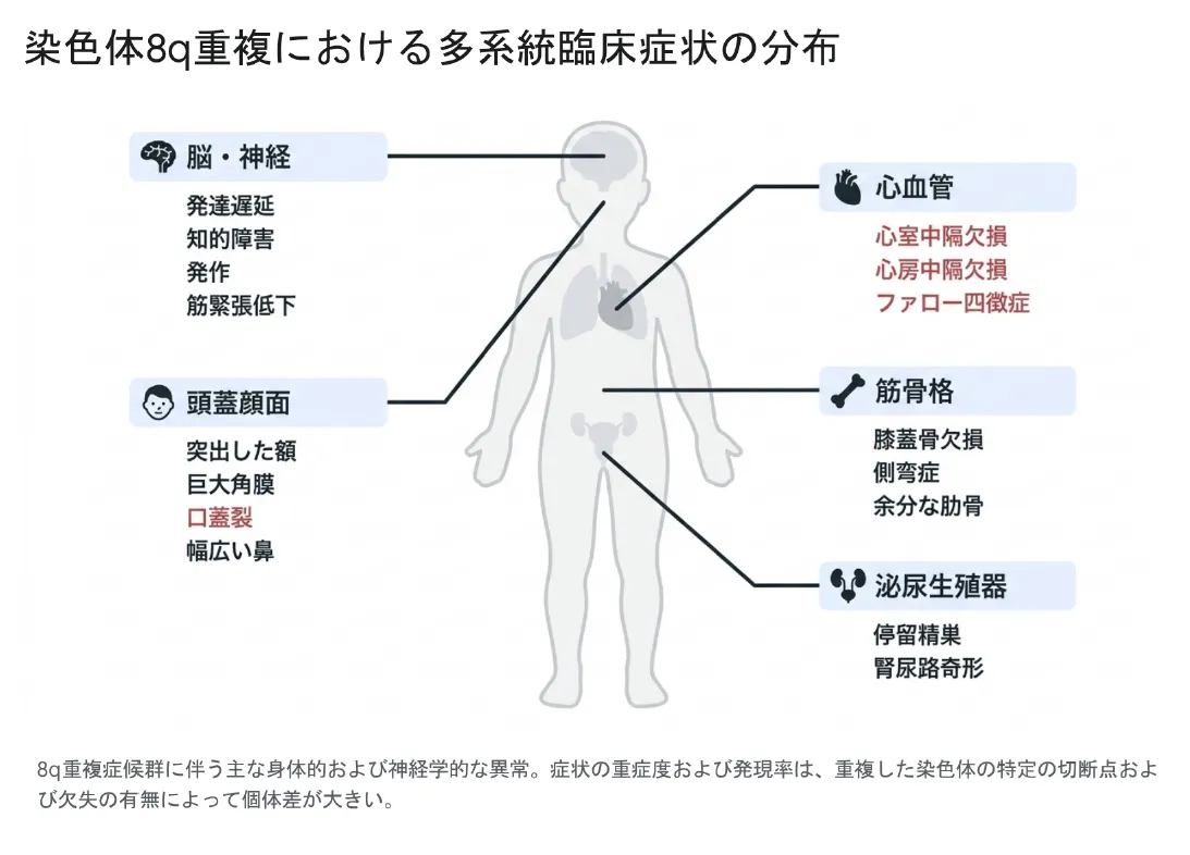 8q重複における多系統臨床症状の分布
