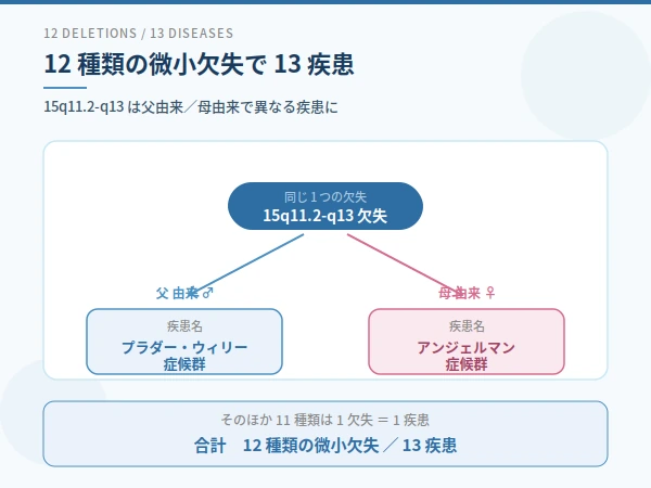 プレミアムプランの12種類13疾患