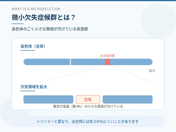 微小欠失症候群について