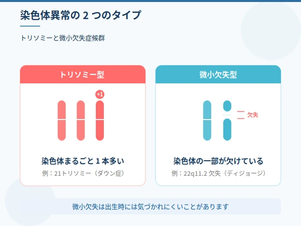 トリソミーだけでは見えにくい染色体異常