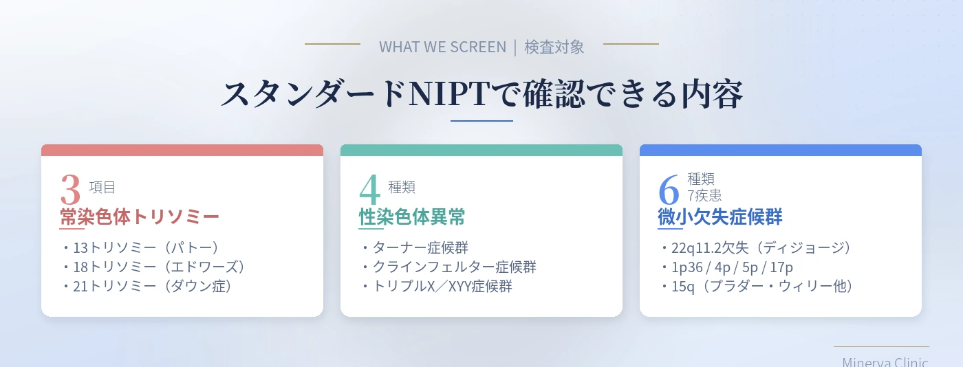 スタンダードNIPTで確認できる内容