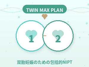 双子マックスプランについて（画像枠）