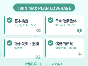 双子マックスプランの検査内容（画像枠）