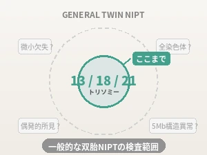 一般的な双胎NIPTの限界（画像枠）
