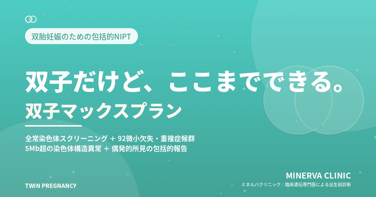 双子マックスプラン メインビジュアル（メイン画像をここに挿入）