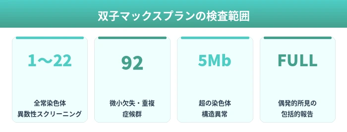 双子マックスプラン 検査内容の概要（画像枠：メイン画像挿入位置）