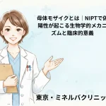 母体モザイクとは｜NIPTで偽陽性が起こる生物学的メカニズムと臨床的意義