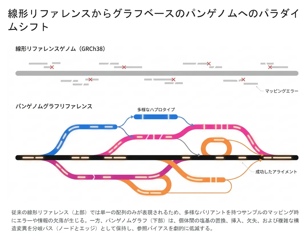 線形リファレンスからグラフベースのパンゲノムへのパラダイムシフト