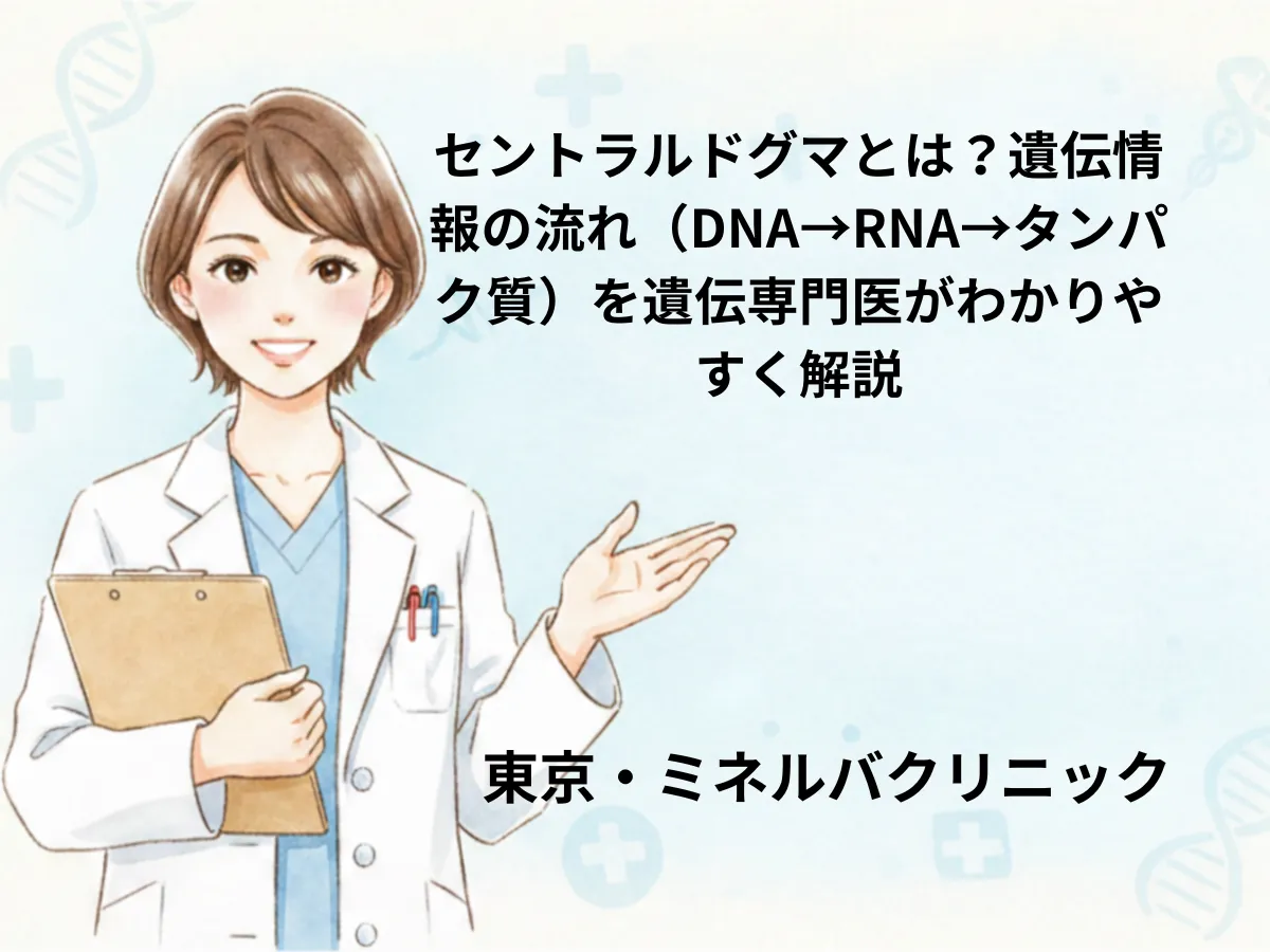 ドグマ と は