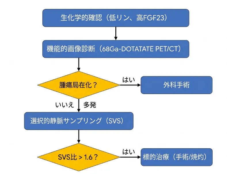 腫瘍性骨軟化症におけるFGF23産生腫瘍の局在診断と治療の流れを示すフローチャート。低リン血症と高FGF23を生化学的に確認した後、68Ga-DOTATATE PET/CTによる機能的画像診断を行い、腫瘍が局在できれば外科手術を検討する。局在困難または多発病変の場合は選択的静脈サンプリング(SVS)を行い、SVS比が1.6を超える部位を標的として手術または焼灼治療を検討する。