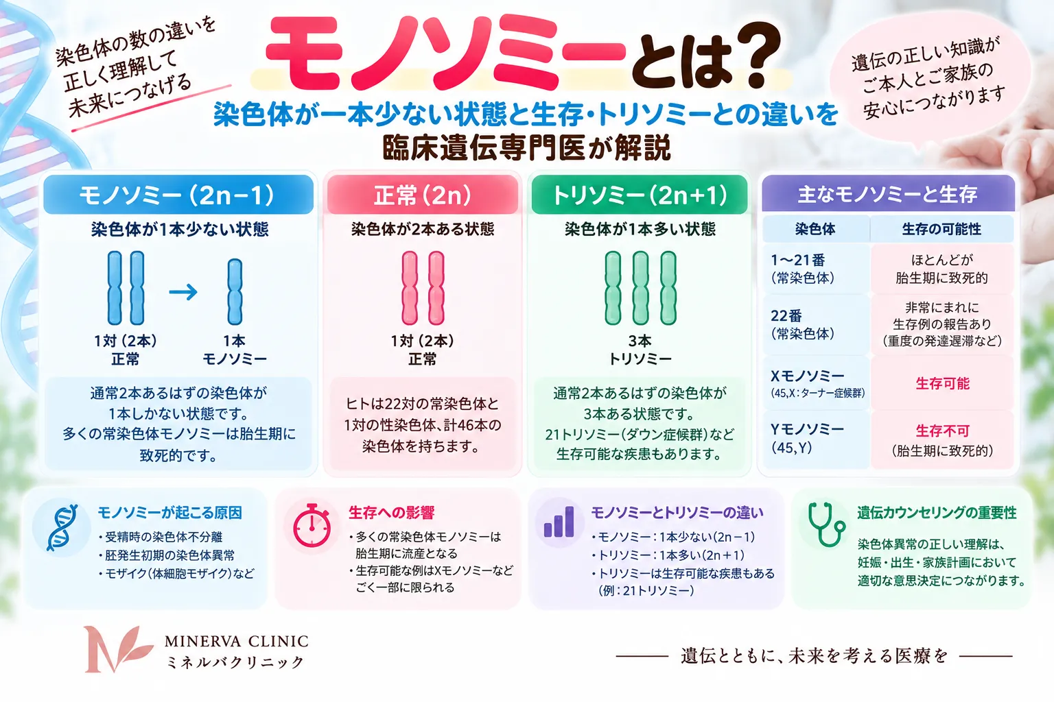 モノソミーとは|染色体が1本少ない状態とトリソミーとの違い モノソミーとトリソミーの染色体本数の違い、生存可能性、ターナー症候群をまとめたインフォグラフィック
