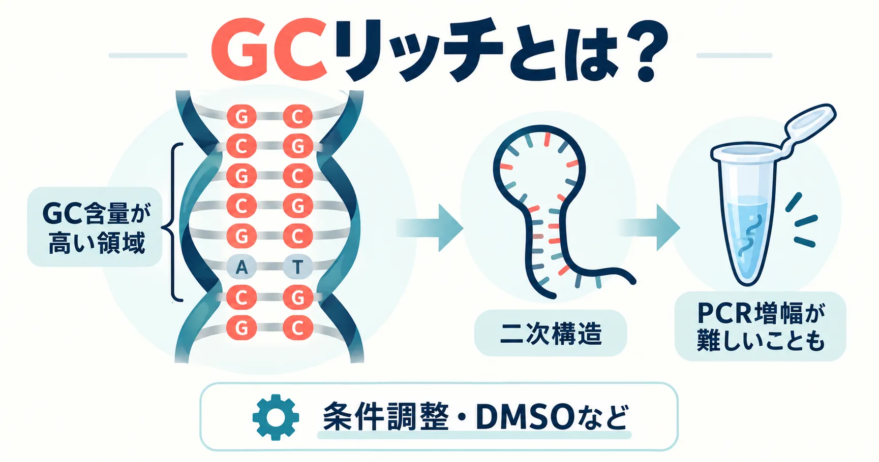 GCリッチ領域とPCR増幅の難しさ・対策をまとめた図解