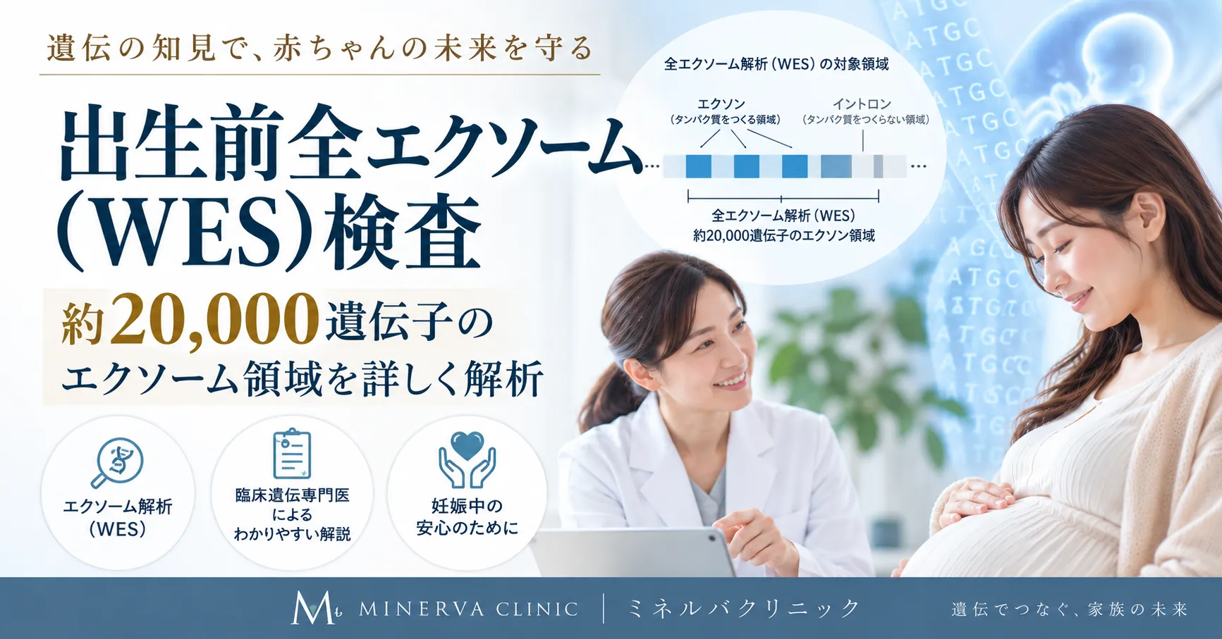 出生前全エクソーム(WES)検査｜20,000以上の遺伝子のコード領域を解析する出生前遺伝子検査