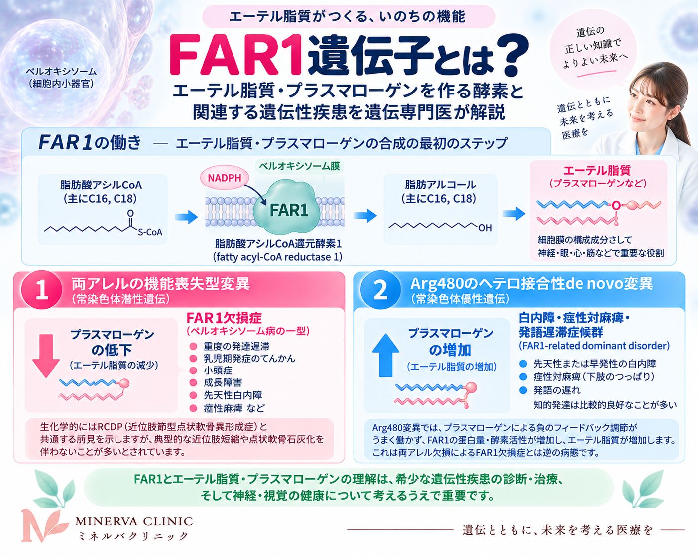 FAR1遺伝子が脂肪酸アシルCoAから脂肪族アルコールを供給してプラズマローゲン合成を調節し、FAR1機能低下でPFCRD、分解制御異常でCSPSDが生じる全体像