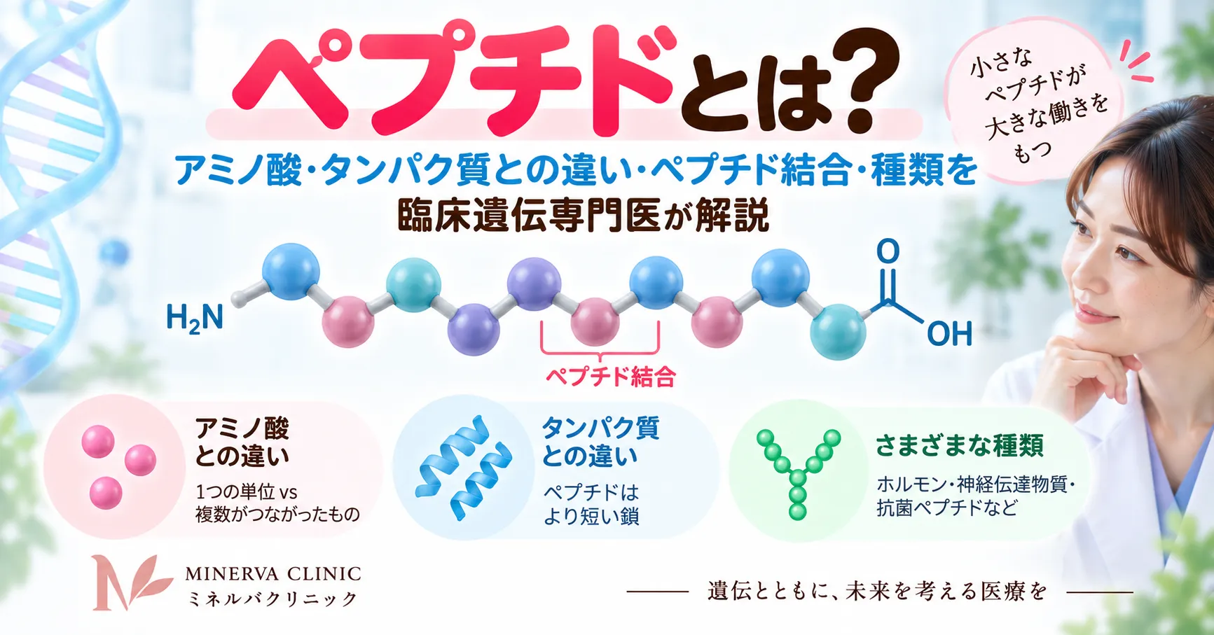 ペプチドの定義、アミノ酸・タンパク質との違い、ペプチド結合、種類と生体内での働きをまとめたインフォグラフィック