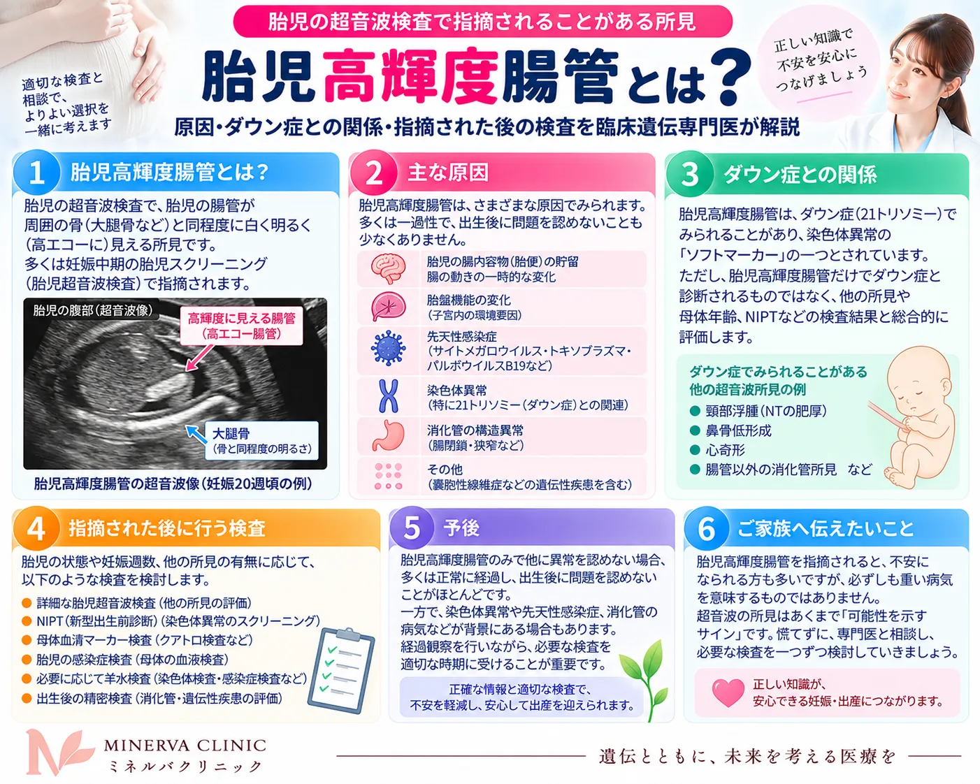 胎児高輝度腸管とは:原因・ダウン症との関係・指摘された後の検査の流れ