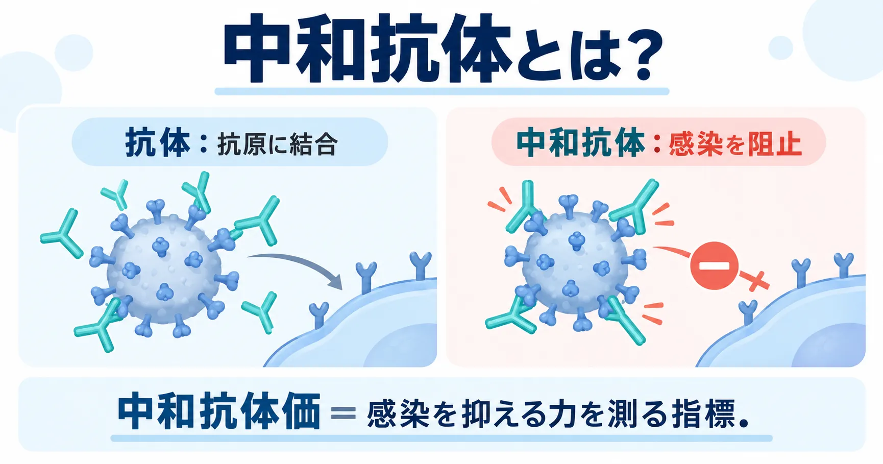 中和抗体とは何かを図解したインフォグラフィック