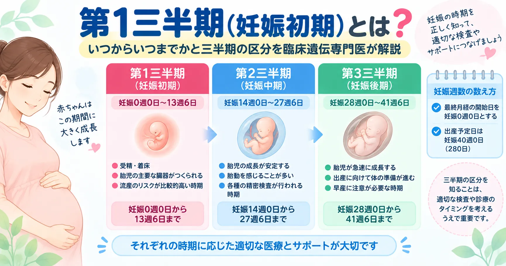第1三半期(妊娠初期)の期間と主な発生・検査時期 第1三半期が妊娠0週0日から13週6日までで、器官形成期やNIPT・初期胎児スクリーニングの時期を含むことを示すインフォグラフィック