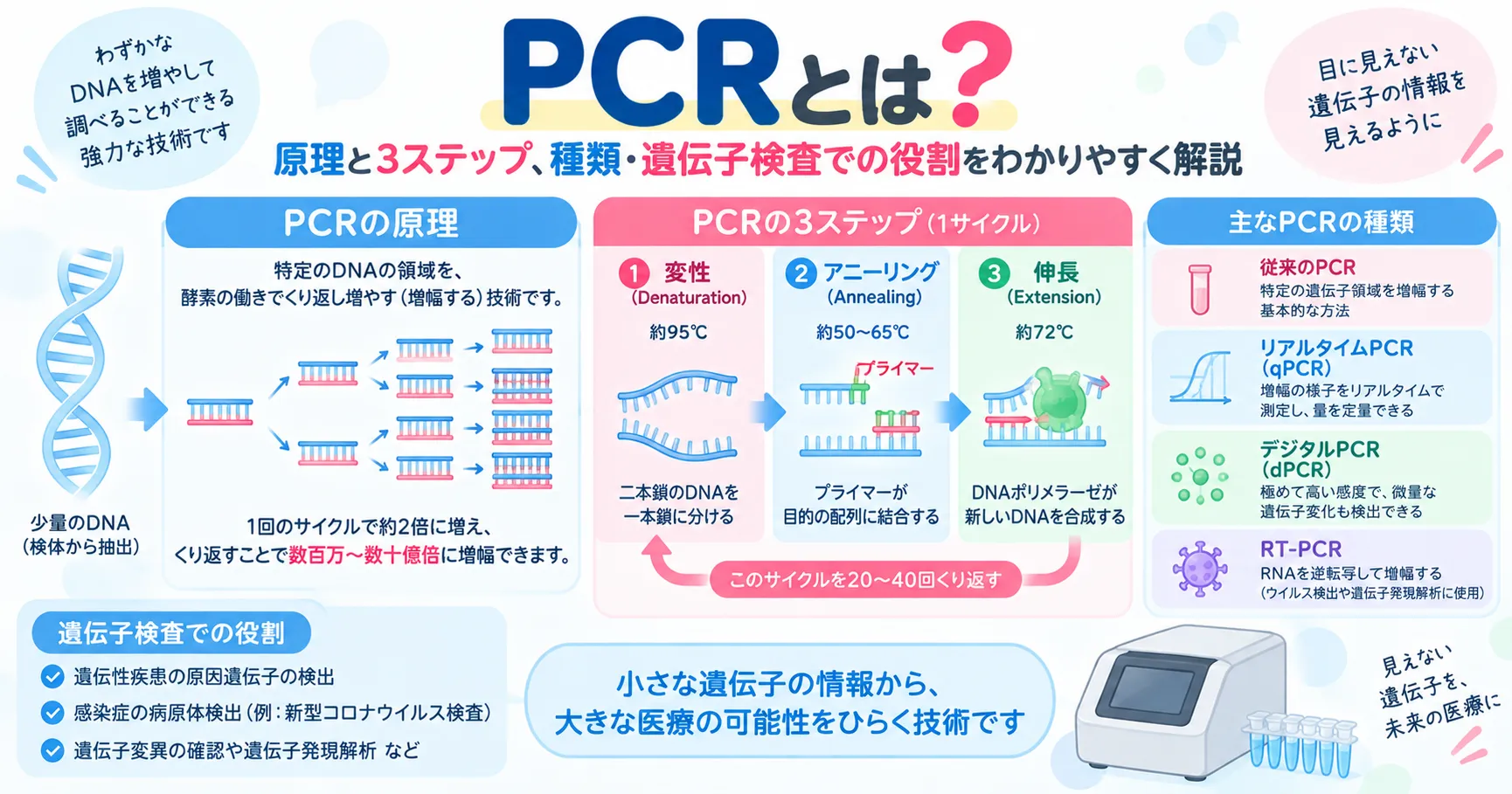 PCRでDNAを熱変性、アニーリング、伸長の3ステップによって増幅する仕組みを示すインフォグラフィック