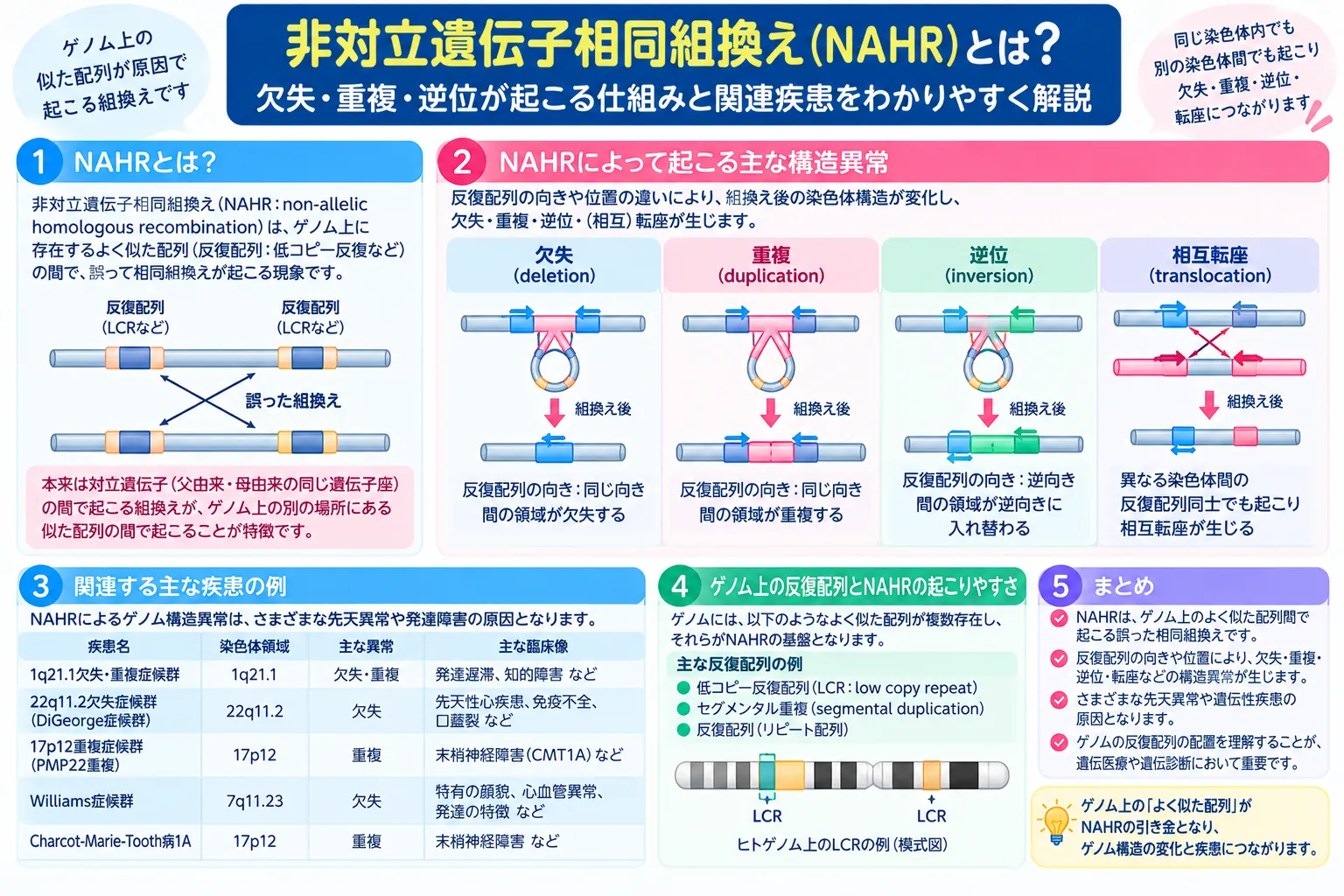 非対立遺伝子相同組換え（NAHR）で低コピーリピートが誤整列し、欠失・重複・逆位が生じる仕組みを示す図