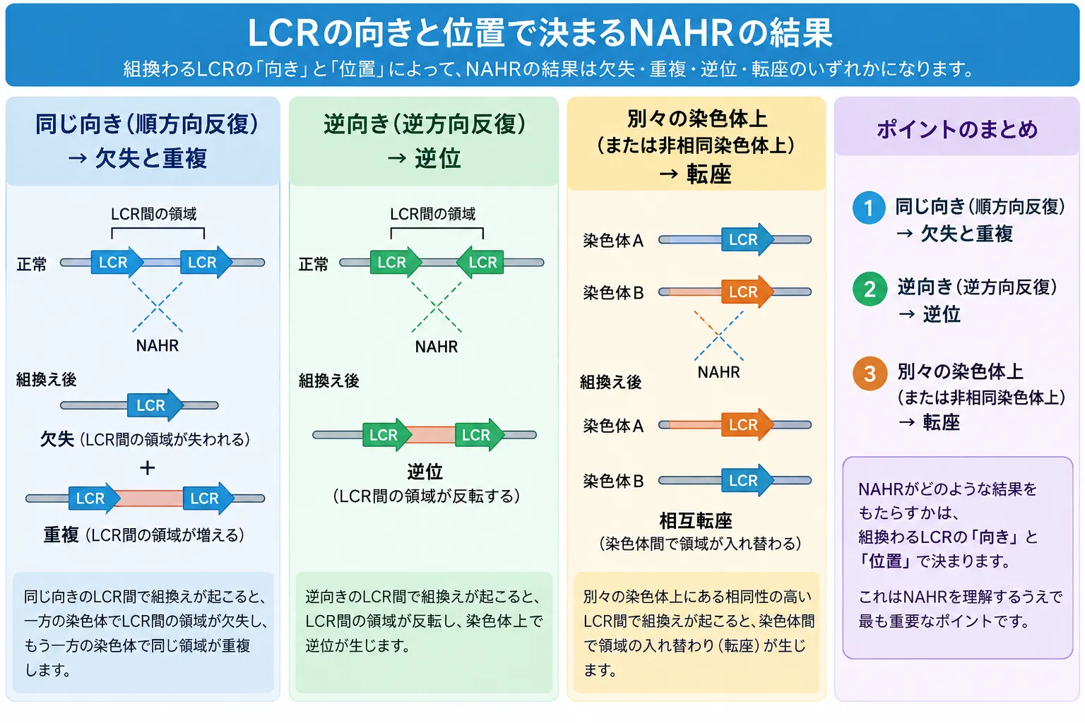 NAHRでLCRの向きと位置により欠失・重複・逆位・転座が生じる仕組みを示す模式図