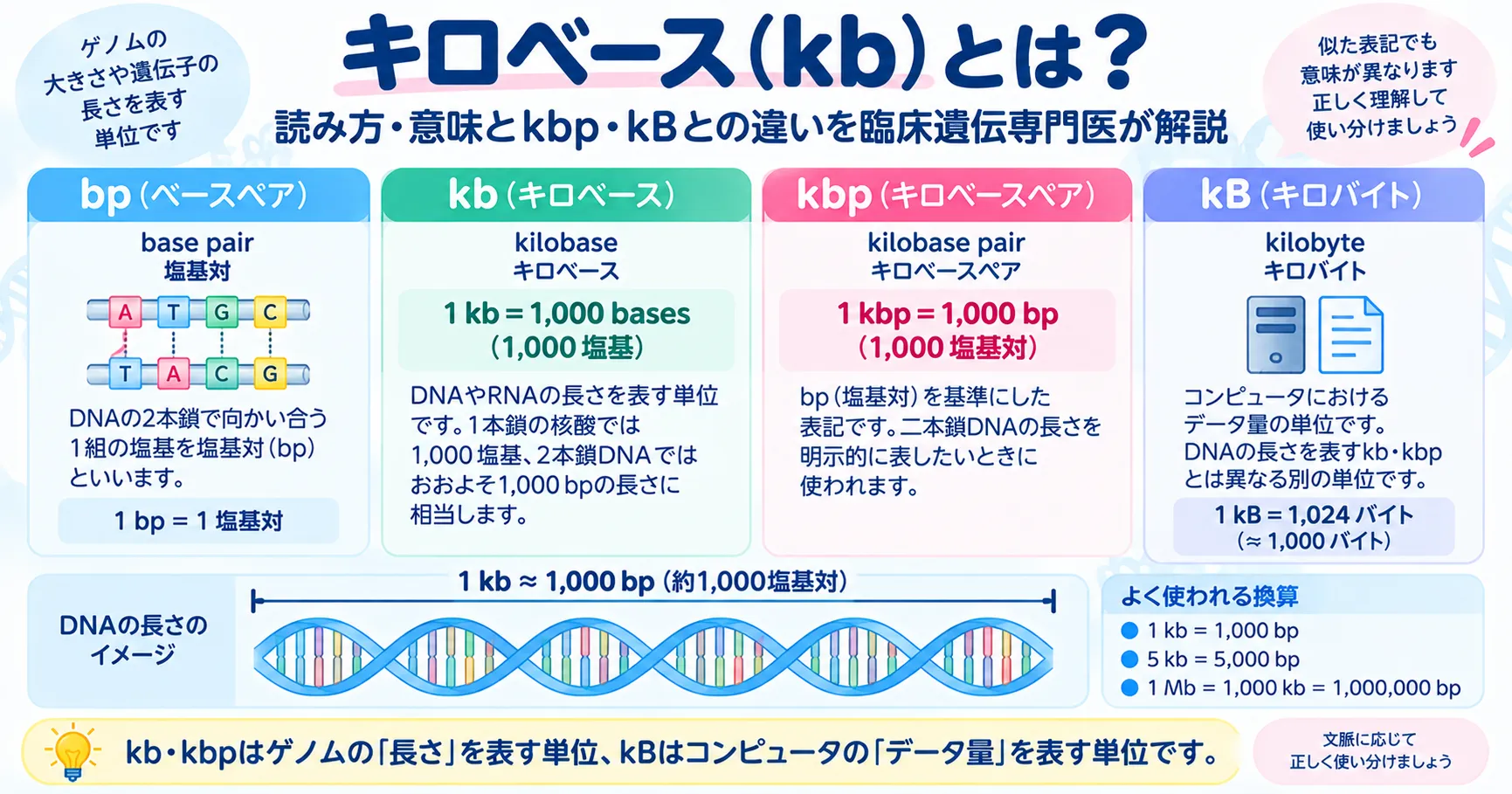 キロベース(kb)とは|読み方・意味とkbp・kBの違い キロベース(kb)の意味とkbp・kBとの違い、bp→kb→Mb→Gbの単位のはしごを示すインフォグラフィック