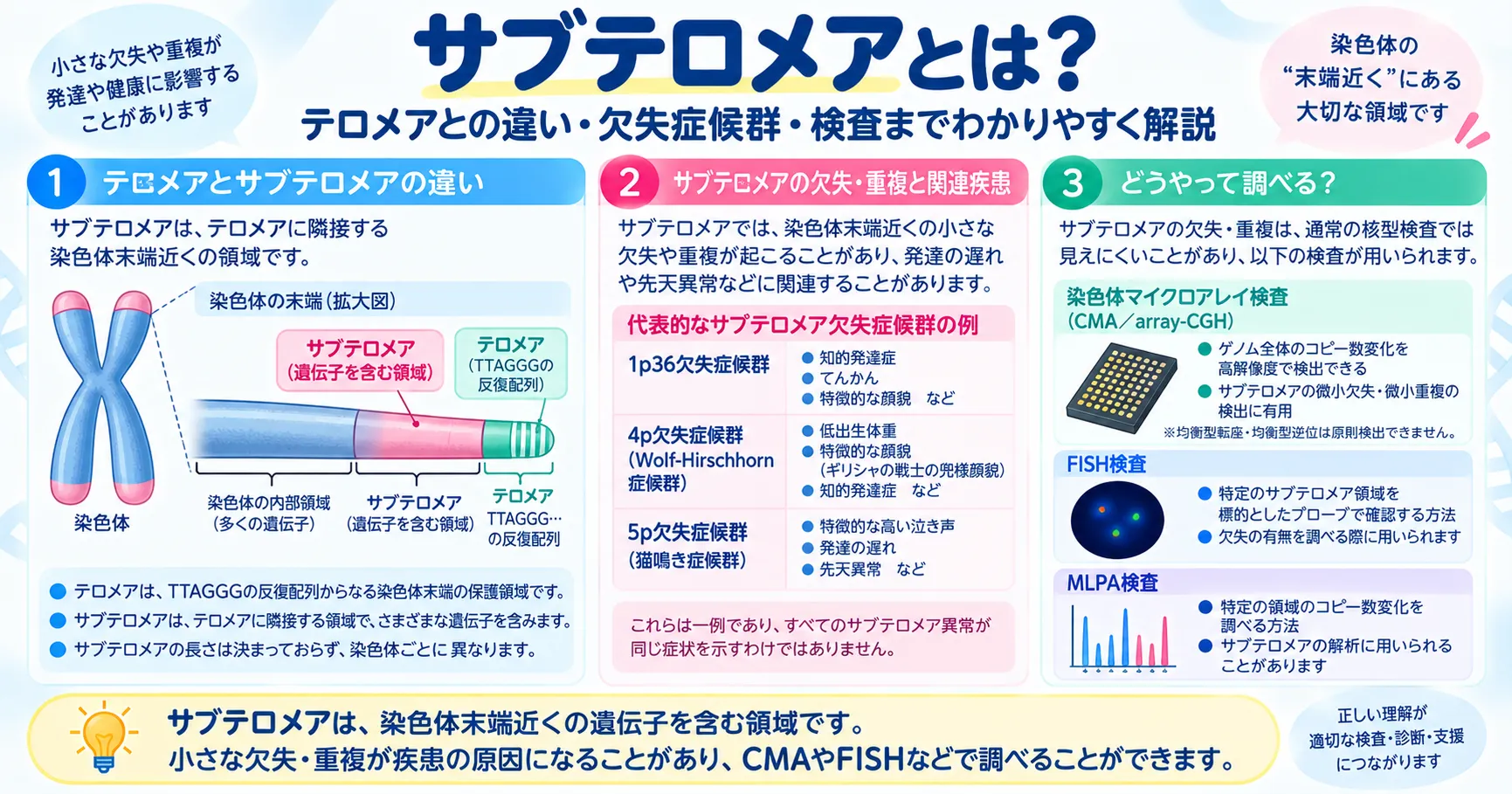 サブテロメアとは?テロメアとの違いと検査 サブテロメアの位置とテロメアとの違い、欠失・重複と検査の関係を示すインフォグラフィック