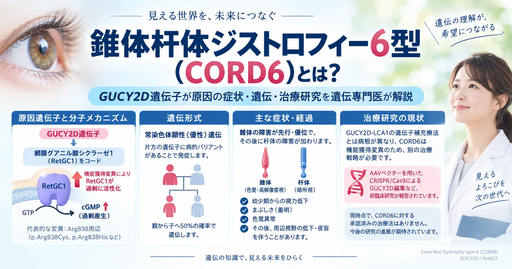 錐体杆体ジストロフィー6型（CORD6）の原因遺伝子GUCY2D、常染色体顕性遺伝、主な症状、治療研究をまとめた図