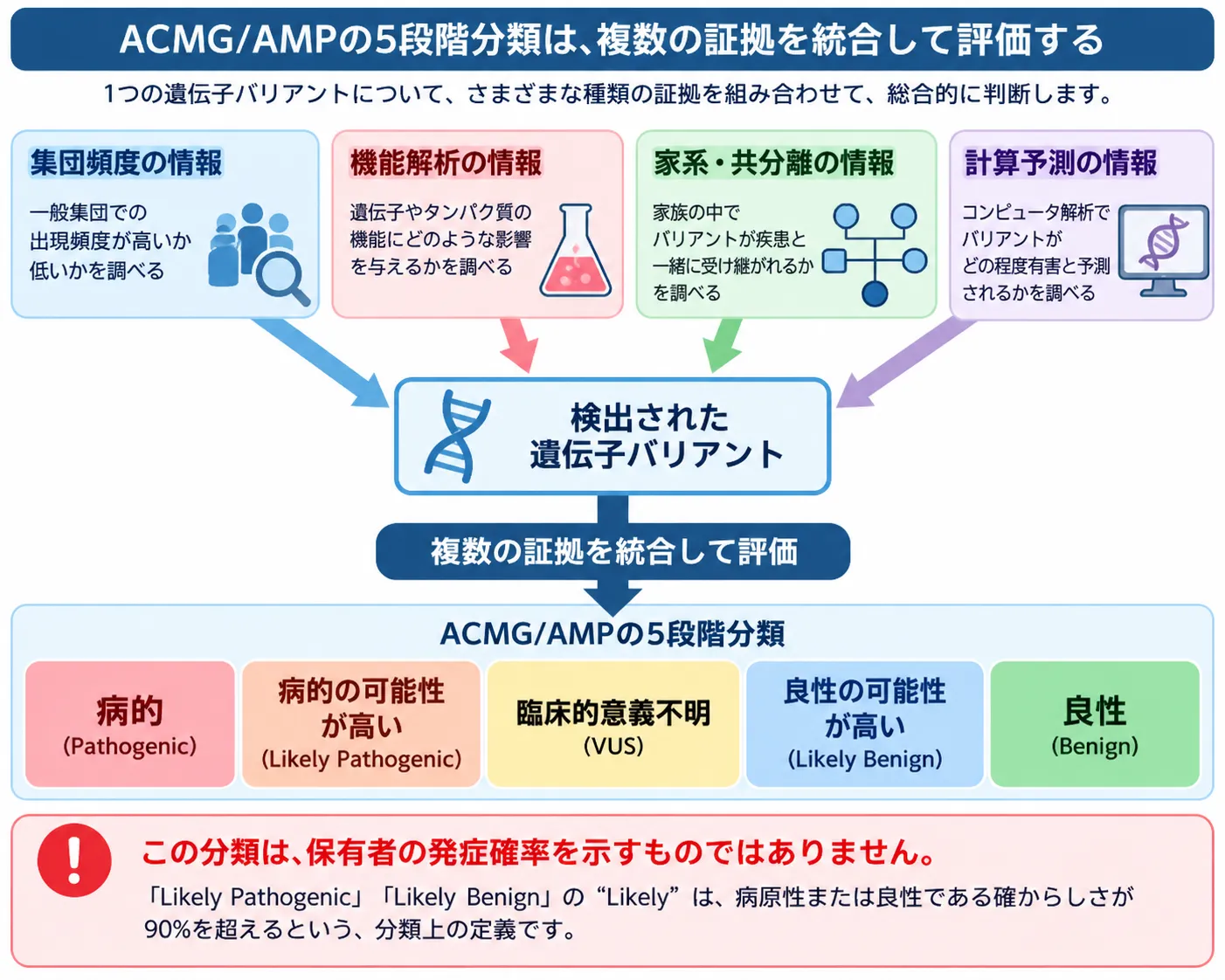 集団頻度、機能解析、家系内共分離、計算予測など複数の証拠を統合し、遺伝子バリアントをACMG/AMPの5段階に分類する仕組みを示した模式図