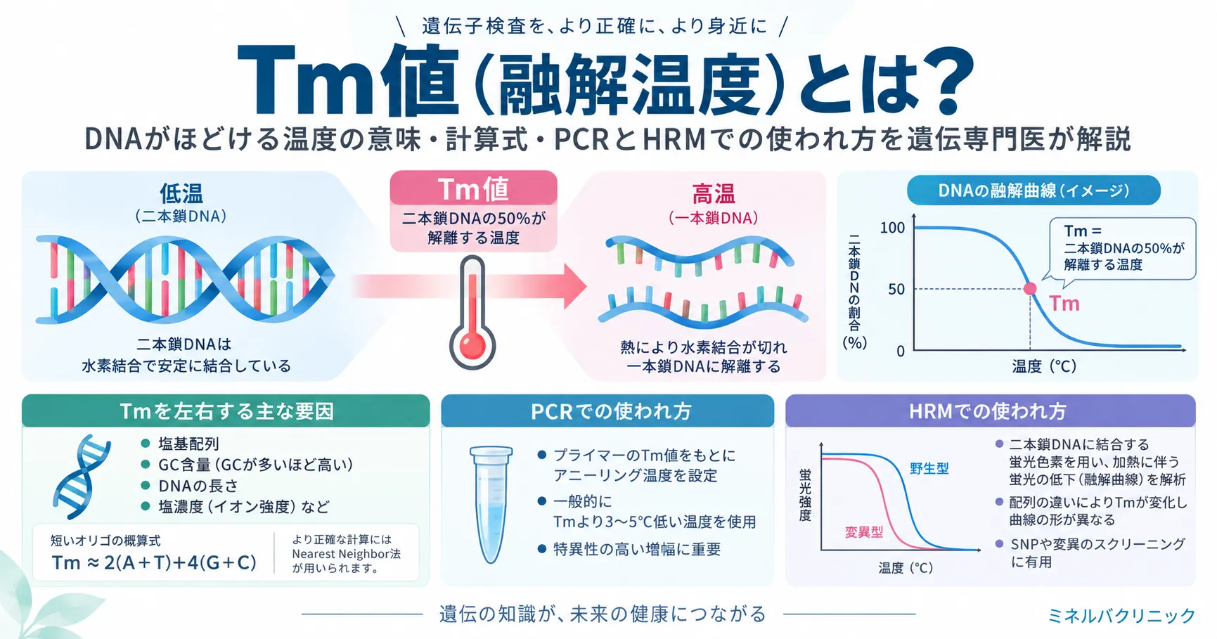 Tm値(融解温度)の意味と遺伝子検査での使われ方 DNA二本鎖が加熱でほどける融解温度Tmと、PCR・HRM・メチル化解析での利用を示したインフォグラフィック