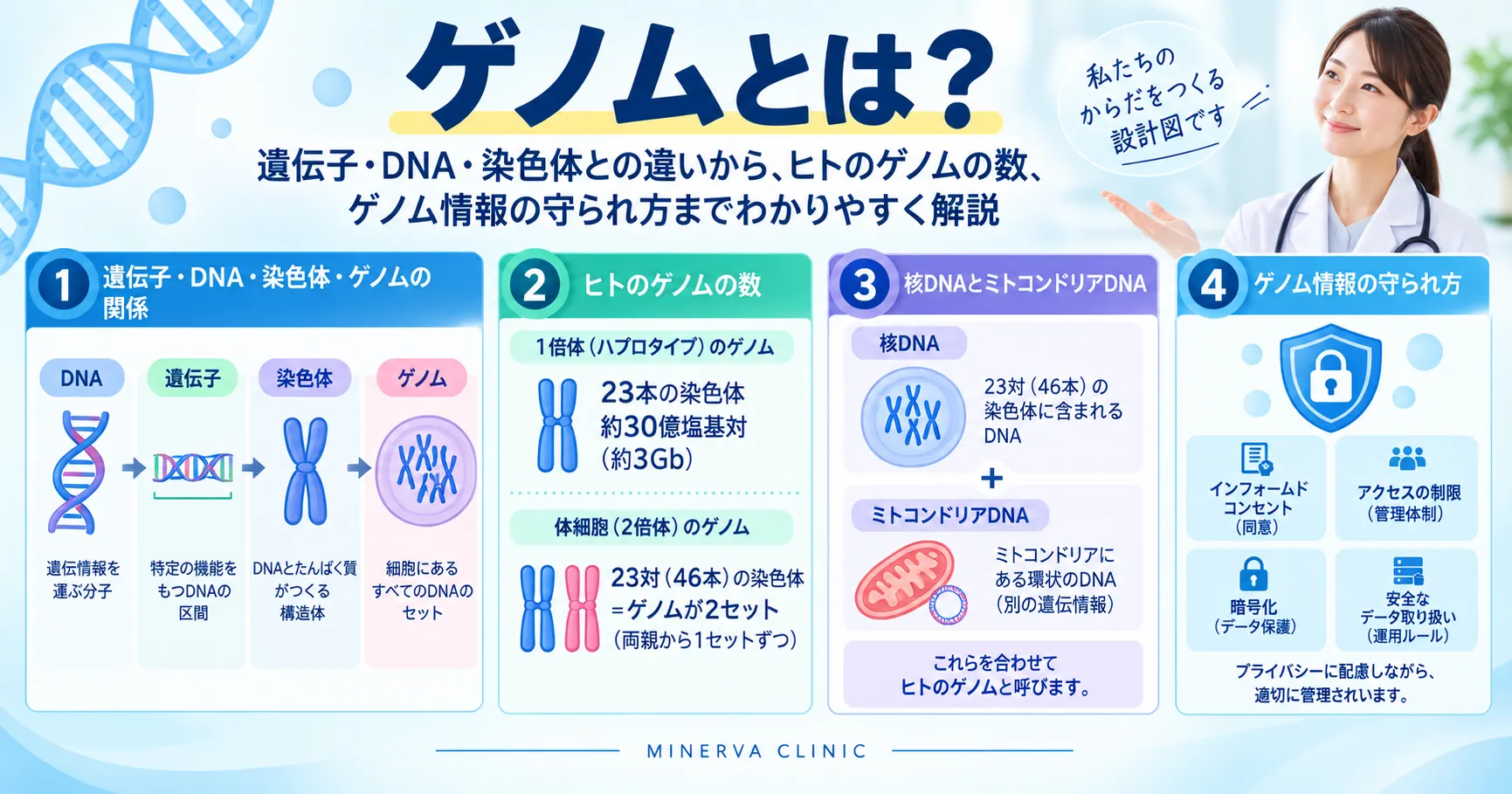ゲノムとは何かを図解したインフォグラフィック